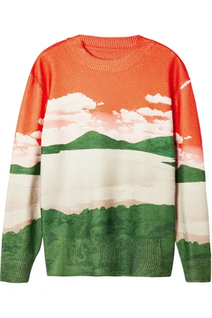 Desigual Trui