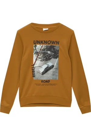 QS by s.Oliver Sweatshirt