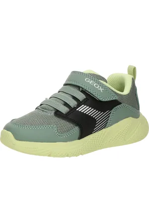 Geox Sneakers 