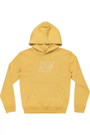 Dcshoes Sportief sweatshirt 
