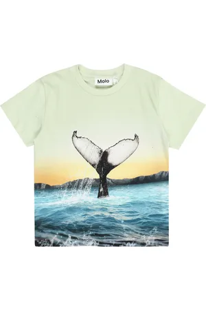 Molo Shirt 