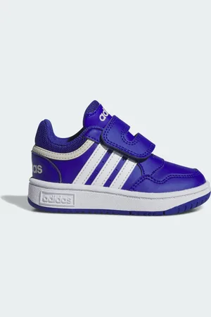 adidas Hoops Schoenen