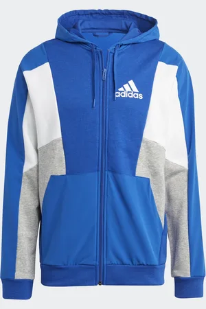 adidas Essentials Colorblock Ritshoodie