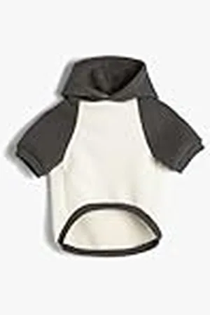 Koton Sweatshirt met capuchon voor dames, kleurblok, bedrukte katoenmix, antibacteriële stof, , M