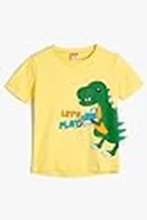 Koton Babyboys Dinosaurus Bedrukt Lange Mouwen Crew Neck Applique Detail T-Shirt, , 12-18 Maanden
