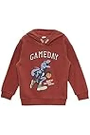 QS by s.Oliver Sweatshirt voor jongens met capuchon, , 128-134 Grote maten