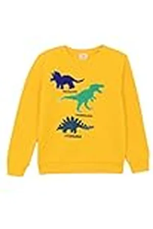 DeFacto Sweatshirt voor jongens, , 12-13 Jaren