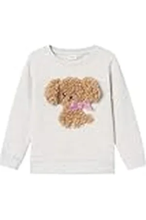 NAME IT Nmfruby Nreg Sweat Bru sweatshirt voor meisjes, , 104