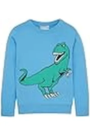TOM TAILOR Jongenspullover voor kinderen, , 92/98 cm