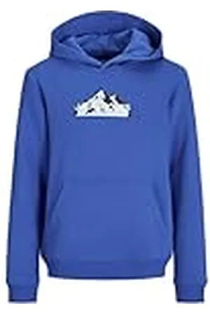JACK & JONES Mountain Logo Hoodie Junior
