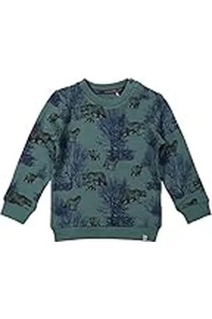 Koko Jongens sweater, , 0 maanden