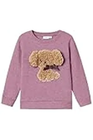 NAME IT Nmfruby Nreg Sweat Bru sweatshirt voor meisjes, , 104