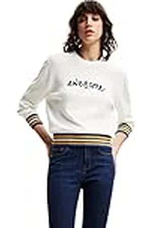 Desigual Damestrui Sweater, , L