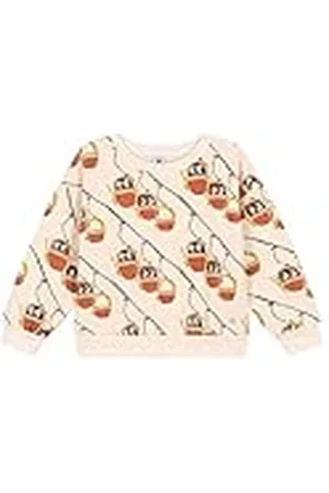 Petit Bateau Sweatshirt voor jongens, Wit Avalanche/Bongris grijs, 12 Jaren