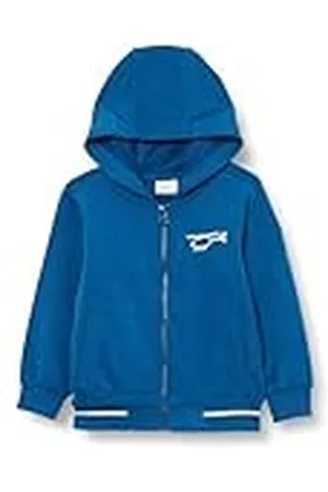 QS by s.Oliver Junior Jongens Sweatshirt met capuchon Blue 92, , 92 cm