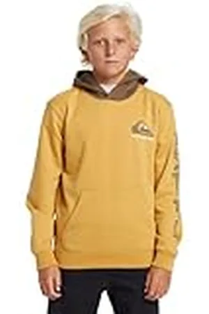 Quiksilver Logo – capuchontrui voor jongens van 8 tot 16 jaar, , 8 jaar