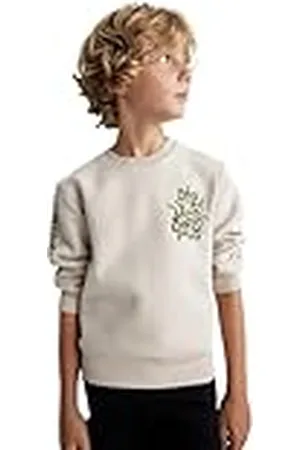 DeFacto Knitted Sweat Shirt voor jongens, , 9-10 Jaar