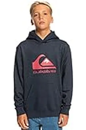 Quiksilver Big Logo Youth capuchontrui voor jongens