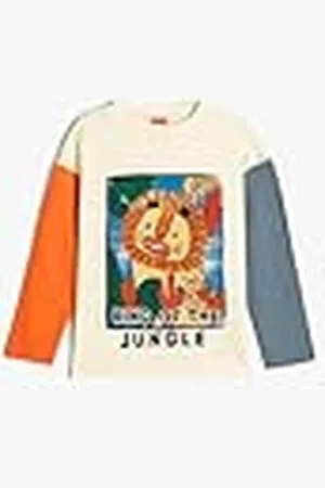 Koton Babyboys Lion Long Sleeve Crew Neck Color Block Cotton T-Shirt, , 9-12 Monate