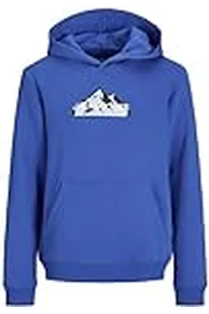 JACK & JONES Child capuchontrui met logo mini, , 110