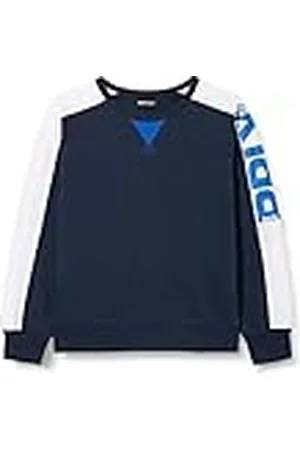 Replay Sweatshirt voor jongens, , 12 Jaar