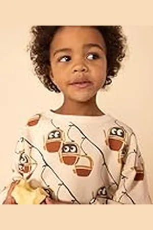 Petit Bateau Sweatshirt AVA/ME3A jongens, , 10 Jaar