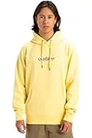 Quiksilver Fineline Hoodie trui voor heren, , L/Tall