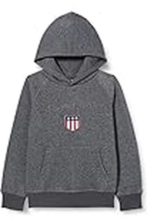 GANT Jongens Shield Hoodie Hoodie, , 122-128