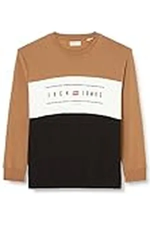 JACK & JONES Heren Jjelliot Block Sweat Crew Neck Pls Pullover, , 3XL Grote maten