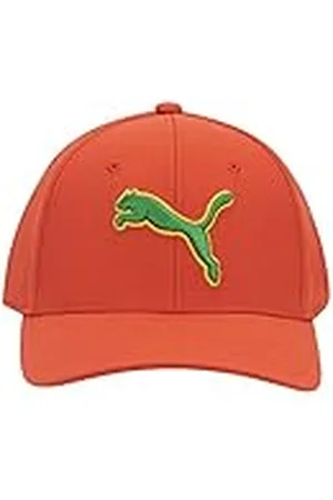 PUMA Unisex Evercat Dillon Stretch Fit Cap Baseballpet, , S/M
