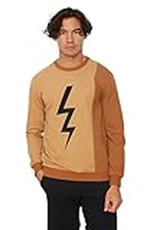 Trendyol Heren ronde hals effen normaal sweatshirt, , L, , L
