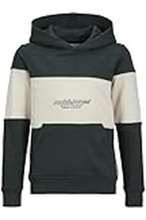 JACK & JONES JACK&JONES JUNIOR Jorlakewood Block Sweat Hood Bf Jnr capuchontrui voor jongens, Magical Forest/Detail: jj Print/Blokking, 128 cm