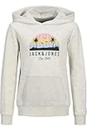 JACK & JONES Jjpalm Sweat Hood Jnr, , 164