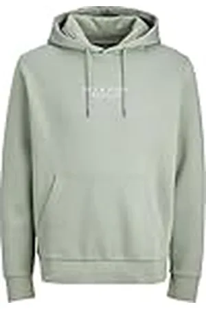 JACK & JONES Heren Jprbluarchie Sweat Hood Noos, , L