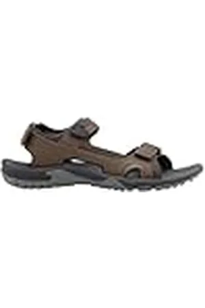 Jack Wolfskin Heren Lakewood Cruise M sandalen, Cold Coffee, 40,5 EU, , 40.5 EU