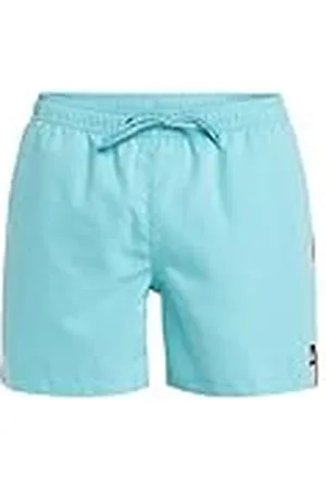 Quiksilver Boardshorts EVERYDAY BEACH VOLLEY 15 Heren Blauw M, , M