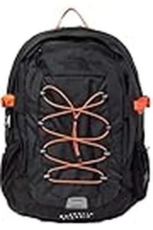 The North Face Borealis Classic 29L Rugzakken voor heren