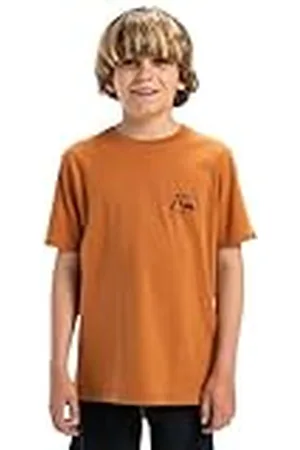 Quiksilver EVO Original BS Tee YTH T-shirt voor kinderen, , 14 Jaren
