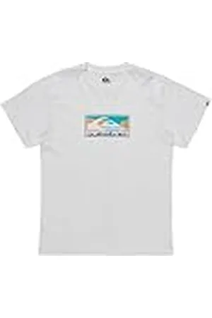 Quiksilver Ev Gradient Box SS T-shirt voor heren, , L
