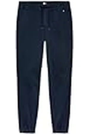Tommy Hilfiger TJM Austin Jog DM0DM20456 Joggingbroek voor heren, blauw (Dark Night Navy), XL, , XL