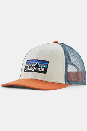 Patagonia P-6 LoPro Trucker Pet