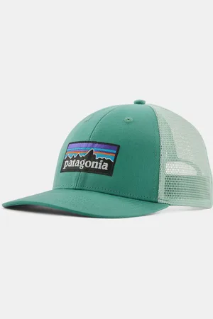Patagonia P-6 LoPro Trucker Pet