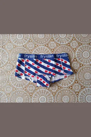 Merkloos Onderbroek/hipster Fryslân/Friese vlag - maat XL