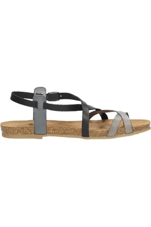 Cosmos Trendy Trendy -