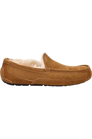 UGG ASCOT Heren Slippers -