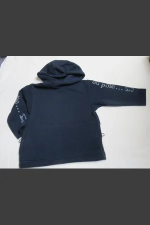 Petit Bateau S.shirt met kap , , au pôle... , 4 jaar 102