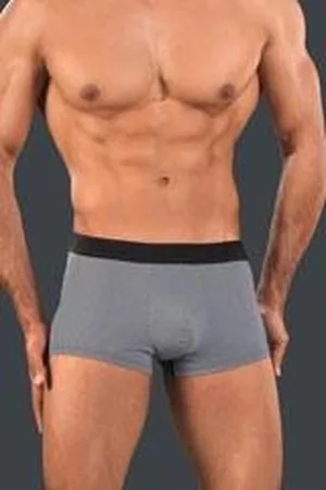 Hom Herenboxer brief Gentleman