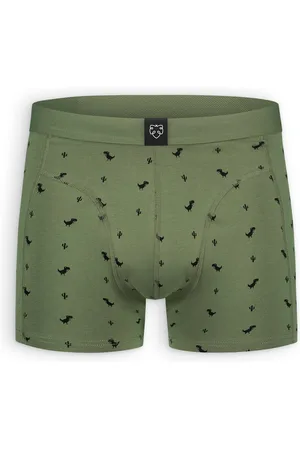 A-dam 8 Bit Dino - Boxershort - Vegan - Katoen - Heren - Groen - XXL