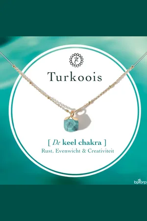 Bixorp Gems Keel Chakra Ketting Turkoois + 18 Karaat Verguld Goud & Roestvrij Staal - 36cm + 8cm verstelbaar - Throat Chakra
