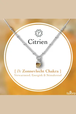 Bixorp Gems Ruwe Citrien Chakra Ketting - Zilverkleurig Roestvrij Staal - 36cm + 8cm verstelbaar